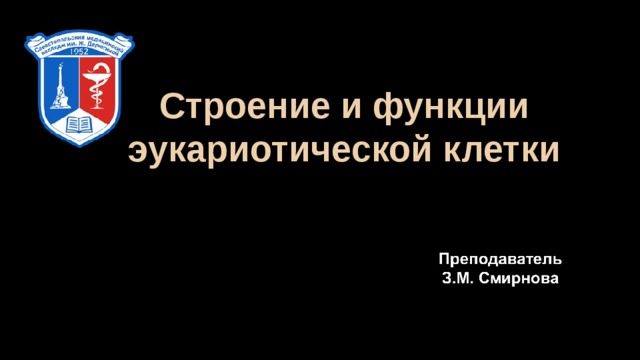 Строение и функции эукариотической клетки 