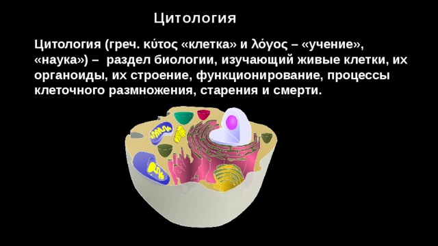 Цитология Цитология (греч. κύτος «клетка» и λόγος – «учение», «наука») – раздел биологии, изучающий живые клетки, их органоиды, их строение, функционирование, процессы клеточного размножения, старения и смерти. 