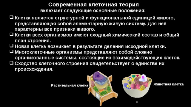 Современная клеточная теория включает следующие основные положения: Клетка является структурной и функциональной единицей живого, представляющая собой элементарную живую систему. Для неё характерны все признаки живого. Клетки всех организмов имеют сходный химический состав и общий план строения. Новая клетка возникает в результате деления исходной клетки. Многоклеточные организмы представляют собой сложно организованные системы, состоящие из взаимодействующих клеток. Сходство клеточного строения свидетельствует о единстве их происхождения. Животная клетка Растительная клетка 7 