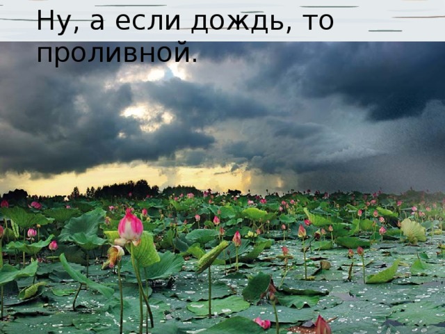 Ну, а если дождь, то проливной. 