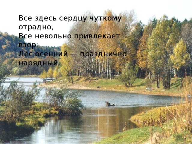 Все здесь сердцу чуткому отрадно,  Все невольно привлекает взор:  Лес осенний — празднично нарядный, 