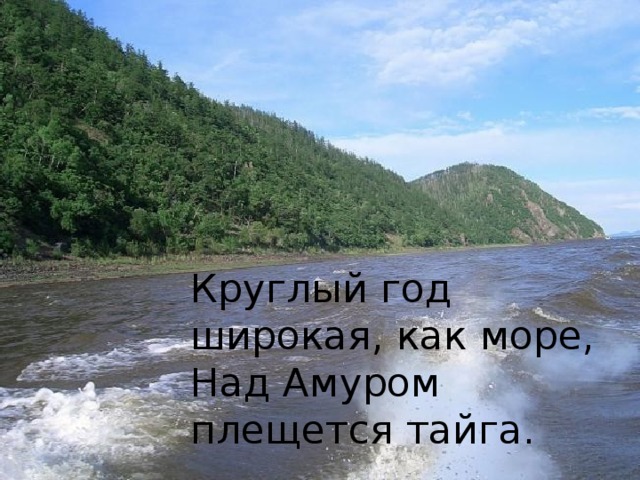 Круглый год широкая, как море,  Над Амуром плещется тайга.   