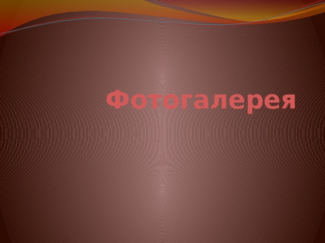 Фотогалерея 