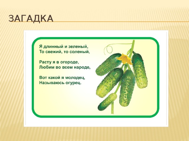 загадка 