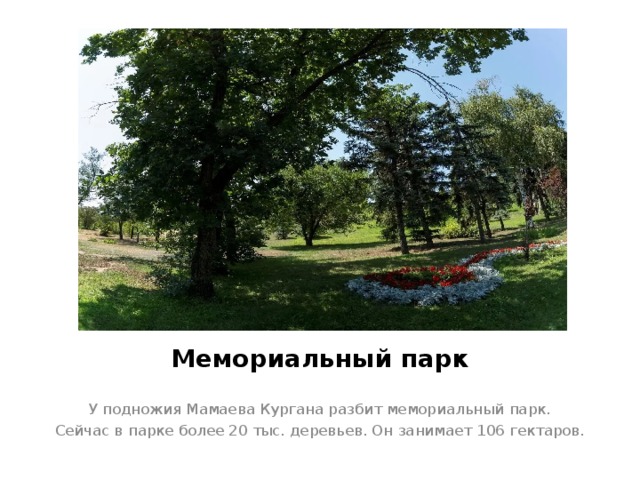 Мемориальный парк У подножия Мамаева Кургана разбит мемориальный парк. Сейчас в парке более 20 тыс. деревьев. Он занимает 106 гектаров. 