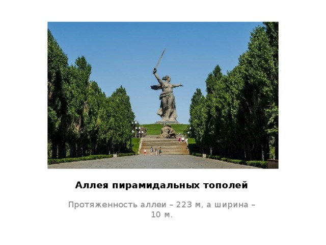 Аллея пирамидальных тополей Протяженность аллеи – 223 м, а ширина – 10 м. 