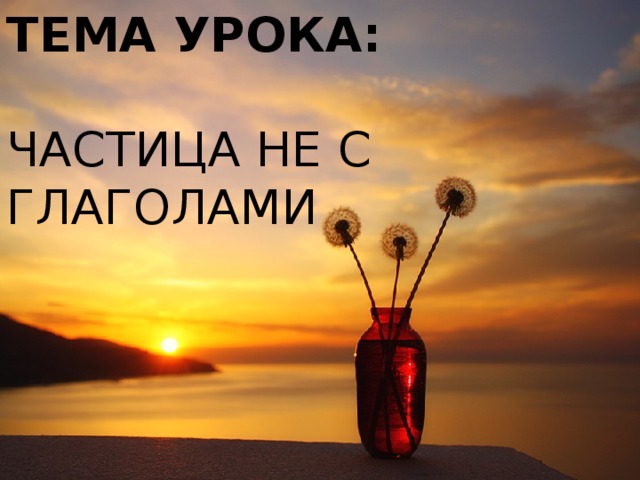 ТЕМА УРОКА:  ЧАСТИЦА НЕ С ГЛАГОЛАМИ 