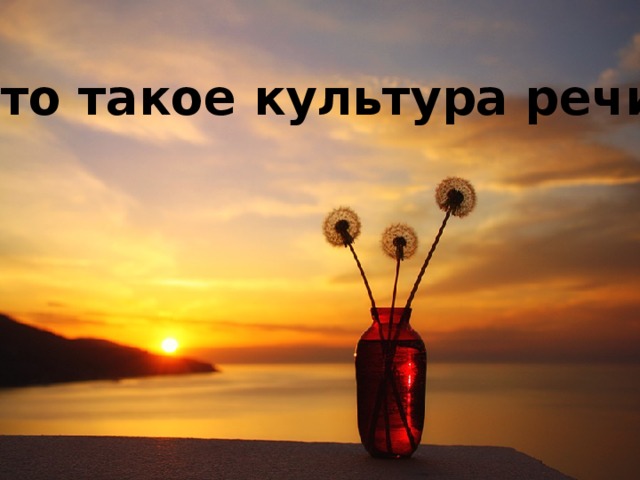 Что такое культура речи? 
