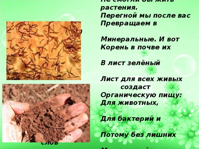 Почвенные бактерии    Молодцы вы, но без нас    Не смогли бы жить     растения.    Перегной мы после вас    Превращаем в удобрения    Минеральные. И вот    Корень в почве их найдёт,    В лист зелёный передаст.    Лист для всех живых     создаст    Органическую пищу:    Для животных, человека,    Для бактерий и грибов.    Потому без лишних слов    Мы, признайте, лучше всех. 