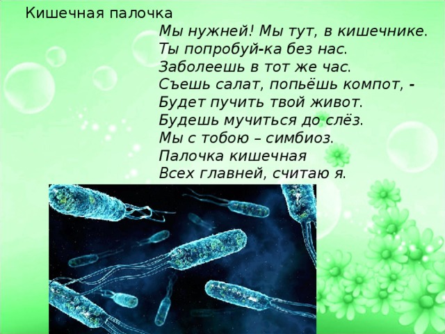 Кишечная палочка    Мы нужней! Мы тут, в кишечнике.    Ты попробуй-ка без нас.    Заболеешь в тот же час.    Съешь салат, попьёшь компот, -    Будет пучить твой живот.    Будешь мучиться до слёз.    Мы с тобою – симбиоз.    Палочка кишечная    Всех главней, считаю я. 