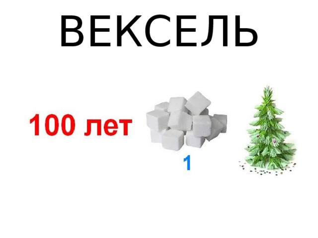ВЕКСЕЛЬ 