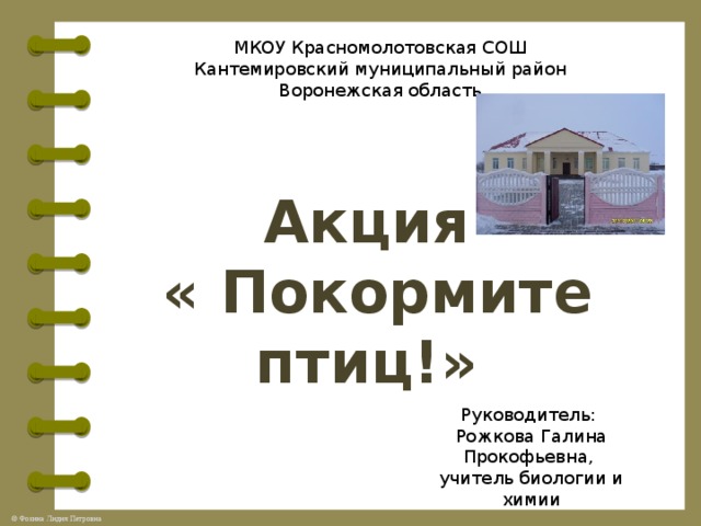 МКОУ Красномолотовская СОШ Кантемировский муниципальный район Воронежская область Акция  « Покормите птиц!» Руководитель: Рожкова Галина Прокофьевна, учитель биологии и химии 