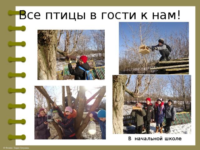 Все птицы в гости к нам! В начальной школе 