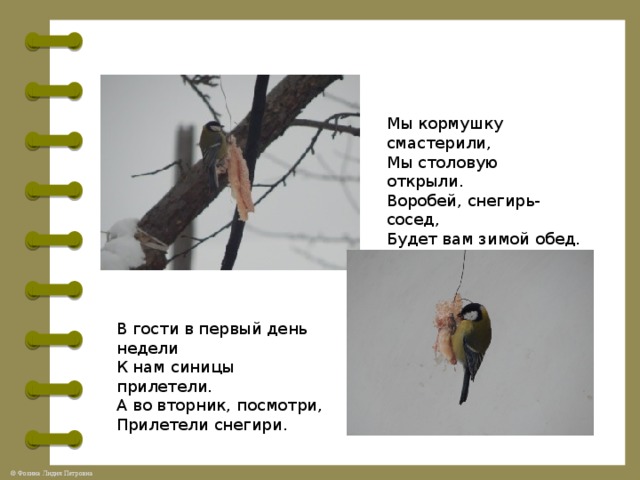 Мы кормушку смастерили,   Мы столовую открыли.   Воробей, снегирь-сосед,   Будет вам зимой обед. В гости в первый день недели   К нам синицы прилетели.  А во вторник, посмотри,  Прилетели снегири. 