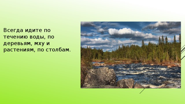 Всегда идите по течению воды, по деревьям, мху и растениям, по столбам.