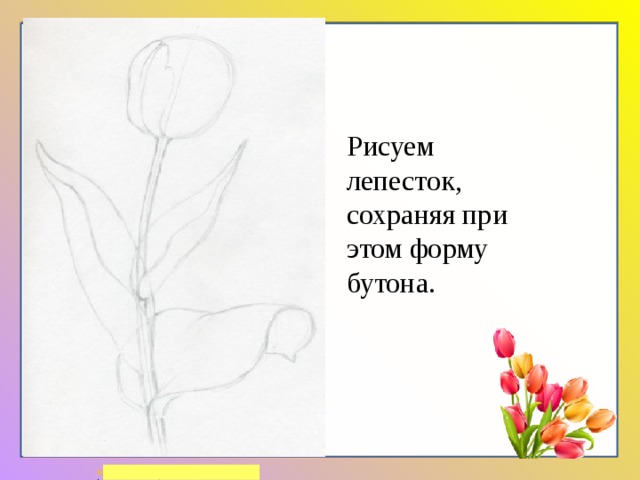 Рисуем лепесток, сохраняя при этом форму бутона. 