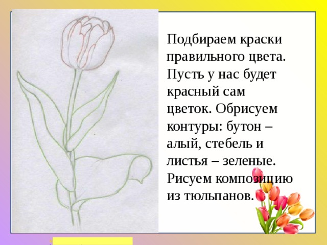 Подбираем краски правильного цвета. Пусть у нас будет красный сам цветок. Обрисуем контуры: бутон – алый, стебель и  листья – зеленые. Рисуем композицию из тюльпанов. 