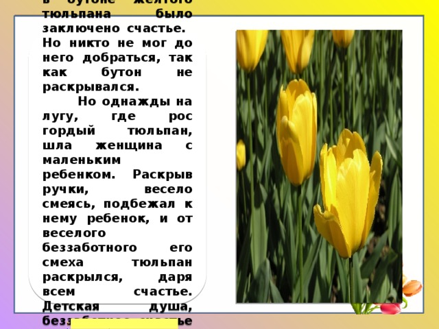 Легенда гласит, что в бутоне желтого тюльпана было заключено счастье. Но никто не мог до него добраться, так как бутон не раскрывался. Но однажды на лугу, где рос гордый тюльпан, шла женщина с маленьким ребенком. Раскрыв ручки, весело смеясь, подбежал к нему ребенок, и от веселого беззаботного его смеха тюльпан раскрылся, даря всем счастье. Детская душа, беззаботное счастье и смех открыли бутон. 