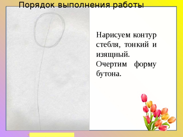 Порядок выполнения работы Нарисуем контур стебля, тонкий и изящный. Очертим форму бутона. 