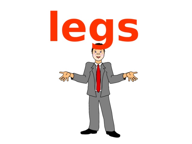 legs 