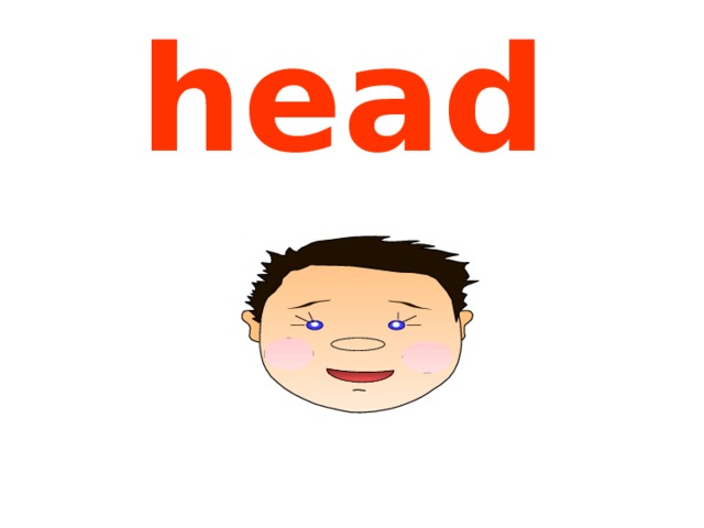 head 