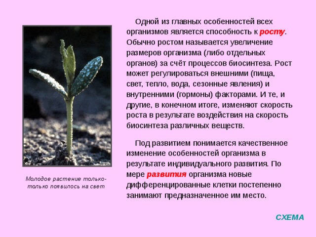 Для обеспечения жизнедеятельности между организмом и окружающей средой должен непрерывно происходить газообмен . Дыхание это процесс поглощения из окружающей среды кислорода и выделения углекислого газа. Газообмен в листе происходит через устьица СХЕМА 