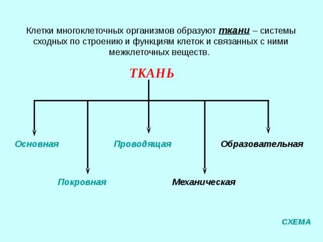 1В 2Г 3А 4Д 5Б Код ответа: МЕНЮ 