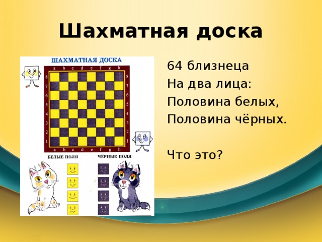 Шахматная доска 64 близнеца На два лица: Половина белых, Половина чёрных. Что это? 