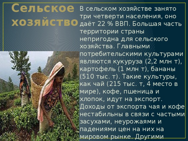В сельском хозяйстве занято три четверти населения, оно даёт 22 % ВВП. Большая часть территории страны непригодна для сельского хозяйства. Главными потребительскими культурами являются кукуруза (2,2 млн т), картофель (1 млн т), бананы (510 тыс. т). Такие культуры, как чай (215 тыс. т, 4 место в мире), кофе, пшеница и хлопок, идут на экспорт. Доходы от экспорта чая и кофе нестабильны в связи с частыми засухами, неурожаями и падениями цен на них на мировом рынке. Другими культурами, выращиваемыми в стране, являются рис, томаты (260 тыс. т), ананасы и д.р. Сельское хозяйство 