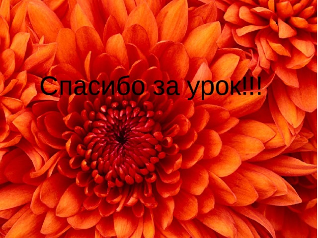 Спасибо за урок!!! 