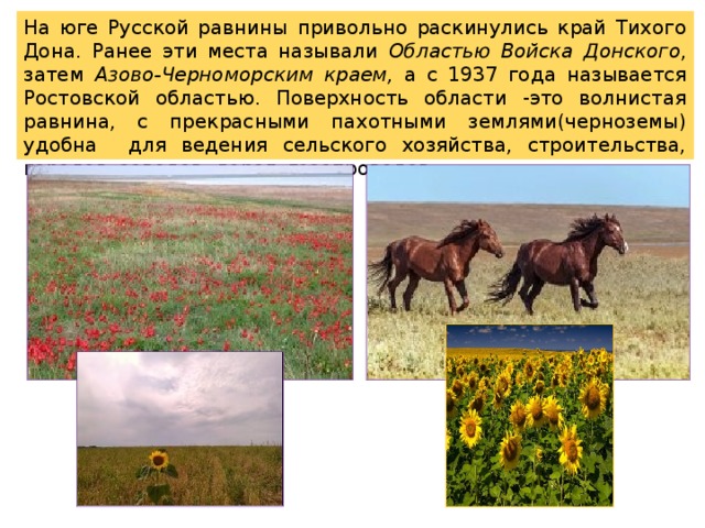 На юге Русской равнины привольно раскинулись край Тихого Дона. Ранее эти места называли Областью Войска Донского , затем Азово-Черноморским  краем, а с 1937 года называется Ростовской областью. Поверхность области -это волнистая равнина, с прекрасными пахотными землями(черноземы) удобна для ведения сельского хозяйства, строительства, городов, заводов, дорог, газопроводов.  