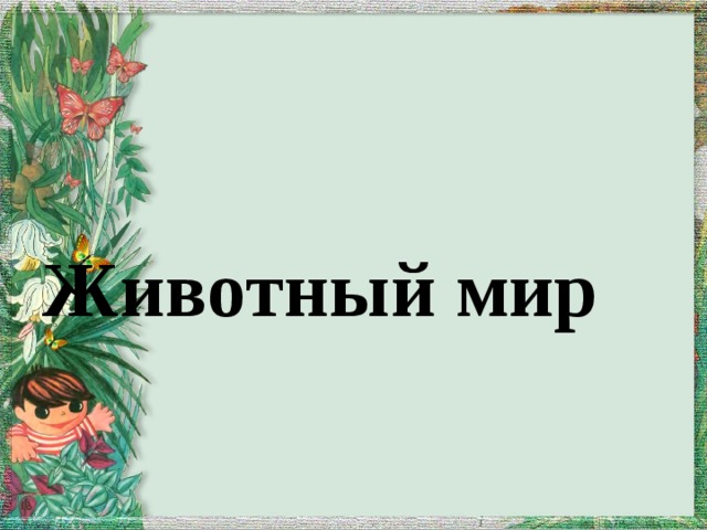  Животный мир 