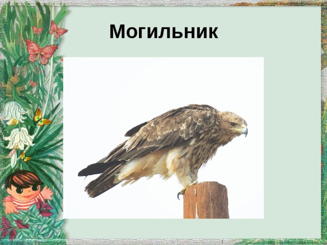 Могильник 