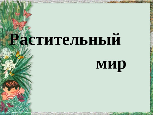 Растительный   мир 