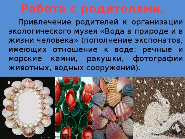 Работа с родителями.  Привлечение родителей к организации экологического музея «Вода в природе и в жизни человека» (пополнение экспонатов, имеющих отношение к воде: речные и морские камни, ракушки, фотографии животных, водных сооружений). 