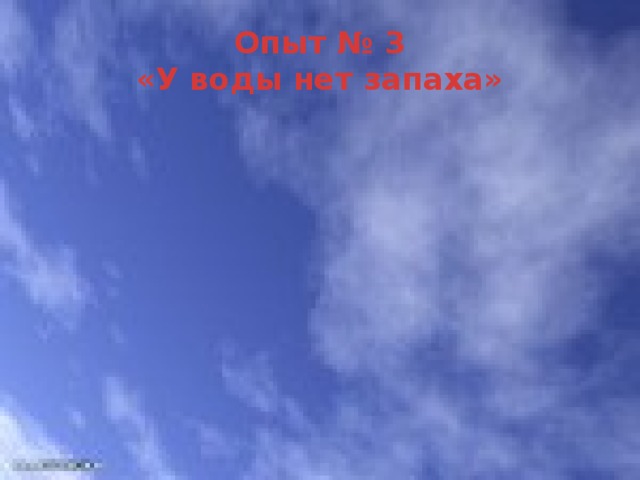 Опыт № 3  «У воды нет запаха» 