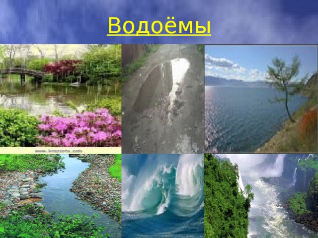 Водоёмы 
