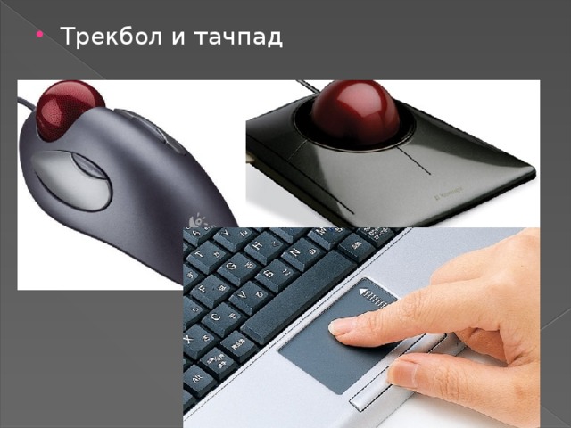 Трекбол и тачпад 
