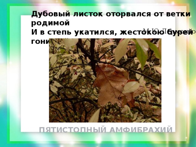 Дубовый листок оторвался от ветки родимой И в степь укатился, жестокою бурей гонимый.. М.Ю.Лермонтов ПЯТИСТОПНЫЙ АМФИБРАХИЙ 