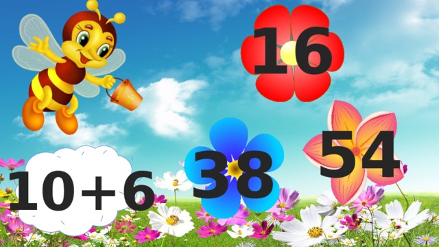 16 54 38 10+6 