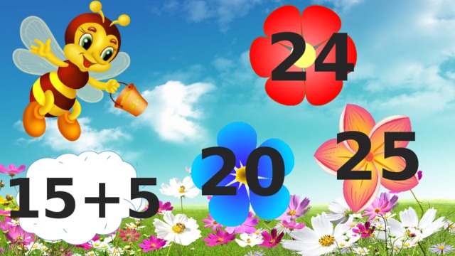 24 25 20 15+5 