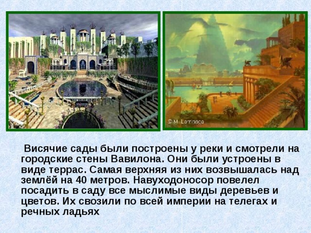  Висячие сады были построены у реки и смотрели на городские стены Вавилона. Они были устроены в виде террас. Самая верхняя из них возвышалась над землёй на 40 метров. Навуходоносор повелел посадить в саду все мыслимые виды деревьев и цветов. Их свозили по всей империи на телегах и речных ладьях 