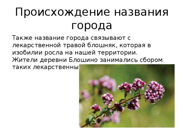 Происхождение названия города Также название города связывают с лекарственной травой блошняк, которая в изобилии росла на нашей территории.  Жители деревни Блошино занимались сбором таких лекарственных трав. 