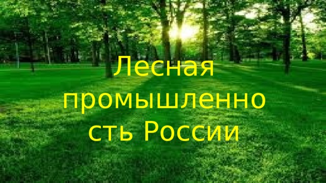 Лесная промышленность России 