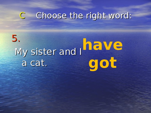 C Choose the right word : 5.   My sister and I a cat. have got 