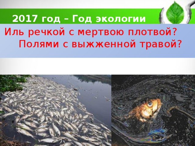 2017 год – Год экологии Иль речкой с мертвою плотвой? Полями с выжженной травой? 