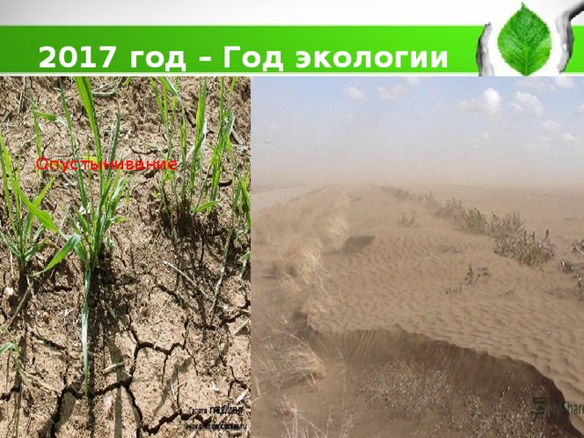 2017 год – Год экологии     Опустынивание  
