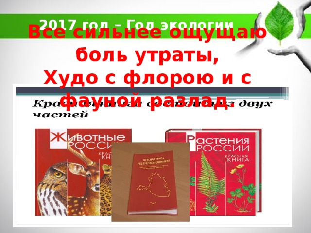 Все сильнее ощущаю боль утраты, Худо с флорою и с фауной разлад. 2017 год – Год экологии   