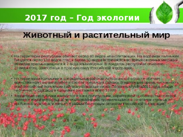 2017 год – Год экологии 