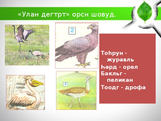 «Улан дегтрт» орсн шовуд.   Тоһрун - журавль Һәрд - орел Бакльг - пеликан Тоодг - дрофа  1 3 